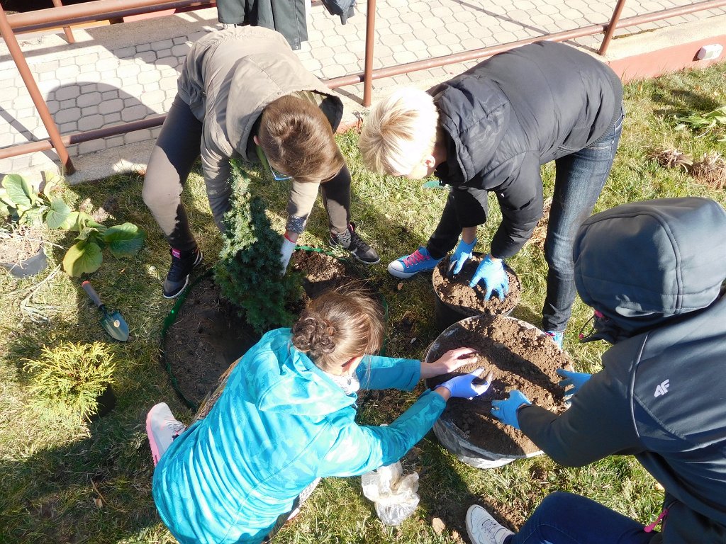 urzadzanie i pielegnacja ogrodow (38)